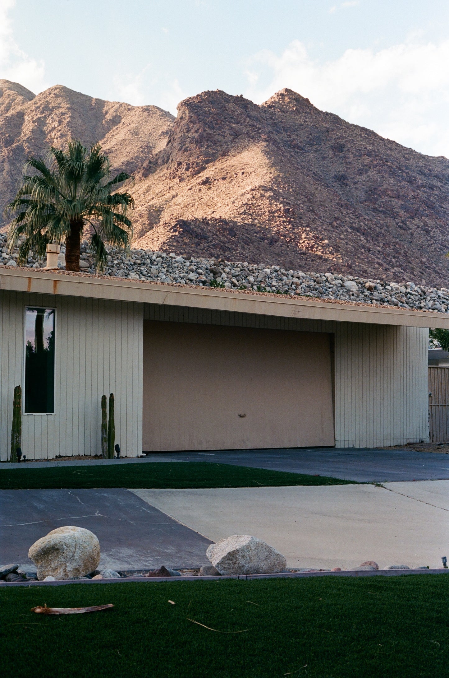 Photography print ''Palms II ''