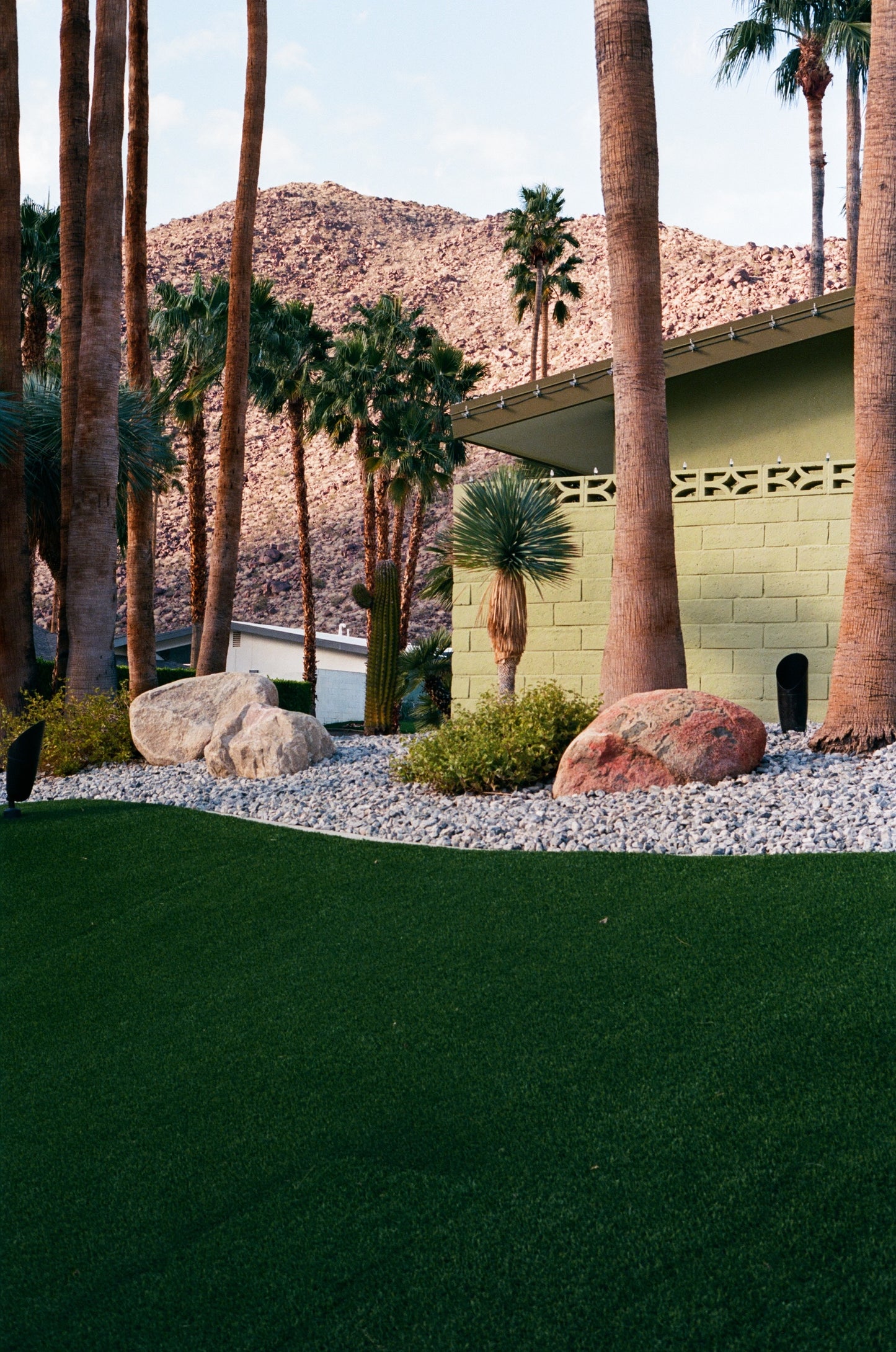Photography print ''Palms III''